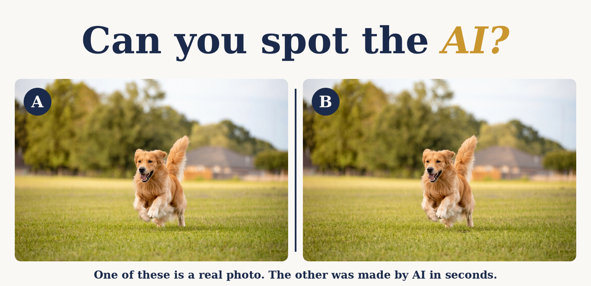 Side-by-side comparison of two nearly identical golden retriever photos labeled A and B, with the headline Can you spot the AI?